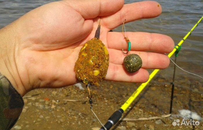 Монтажи для любительской карповой рыбалки