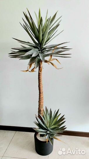 Искусственное дерево растение агава