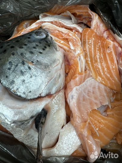 Набор для ухи