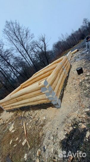 Сруб липовый