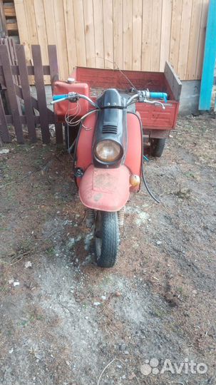 Продам муровей, торг