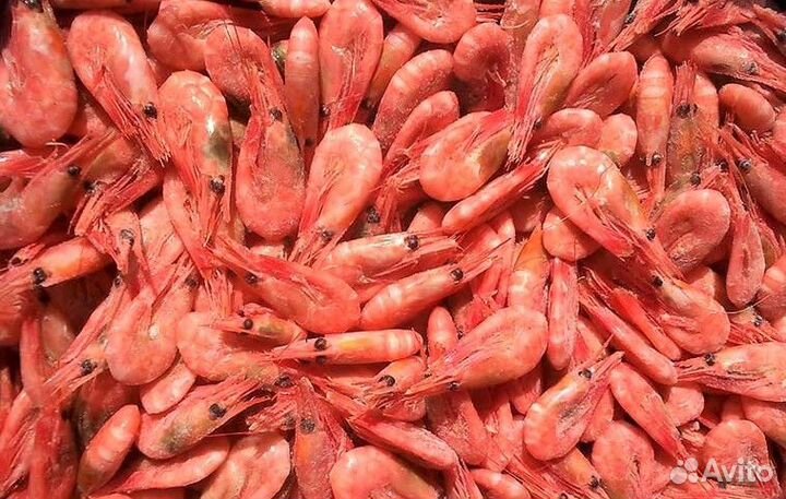 Фасовщик морепродуктов / Вахта