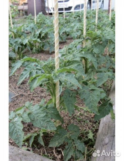 Колья садовые/электропастух