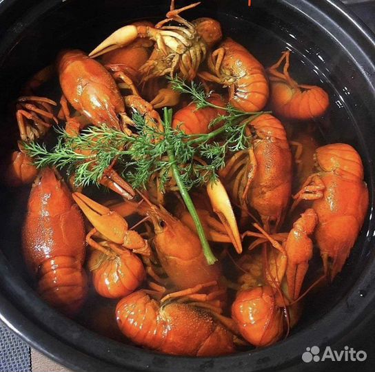 Живые и варёные раки