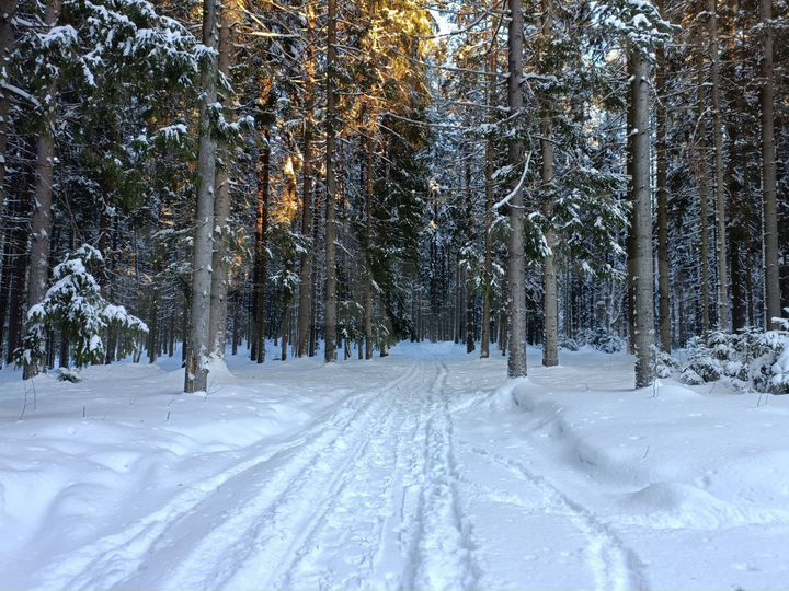 Участок 7 сот. (ИЖС)