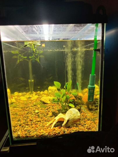 Аквариум 200 литров