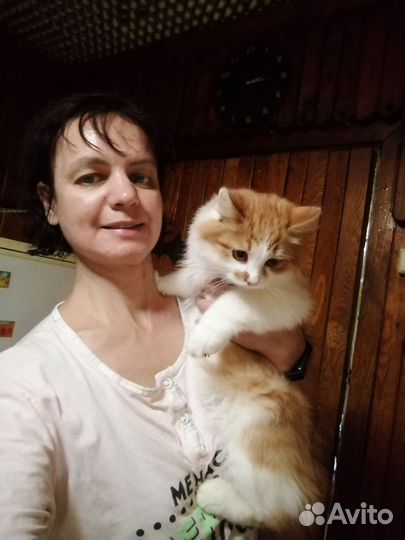 Котята-подростки