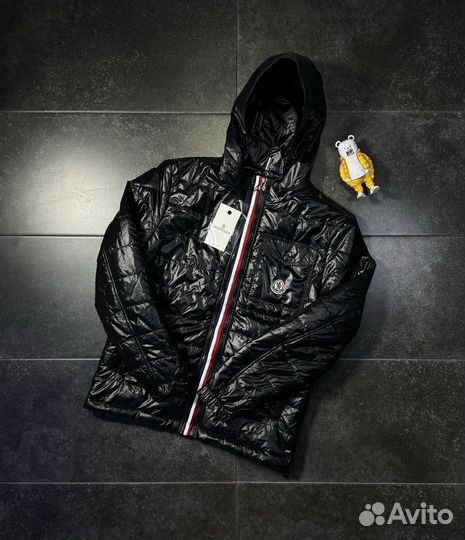 Куртка мужская Moncler