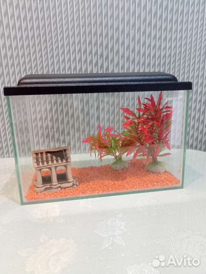 Аквариум