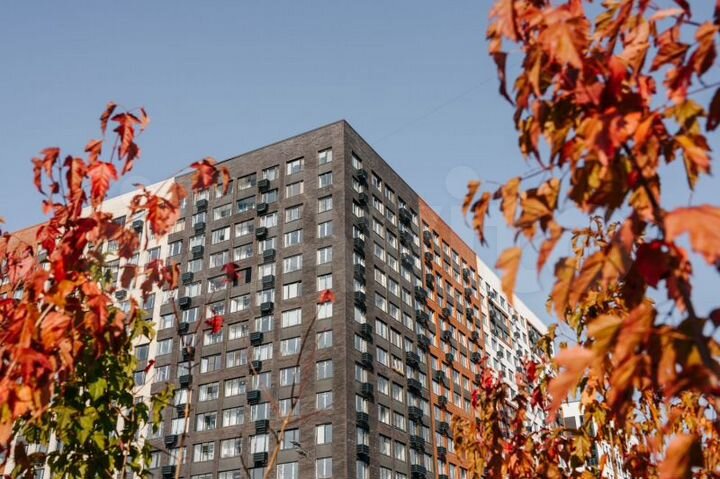 1-к. квартира, 36,6 м², 7/14 эт.