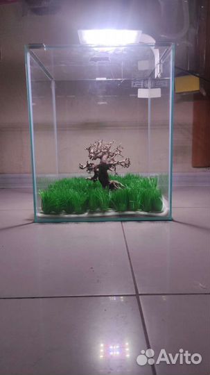 Аквариумы 5л, 8.10л, 12л, 15л, 20л, 25л, 30л, 35л
