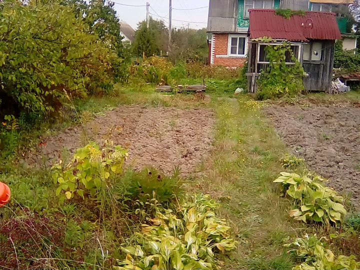 Участок 6 сот. (СНТ, ДНП)