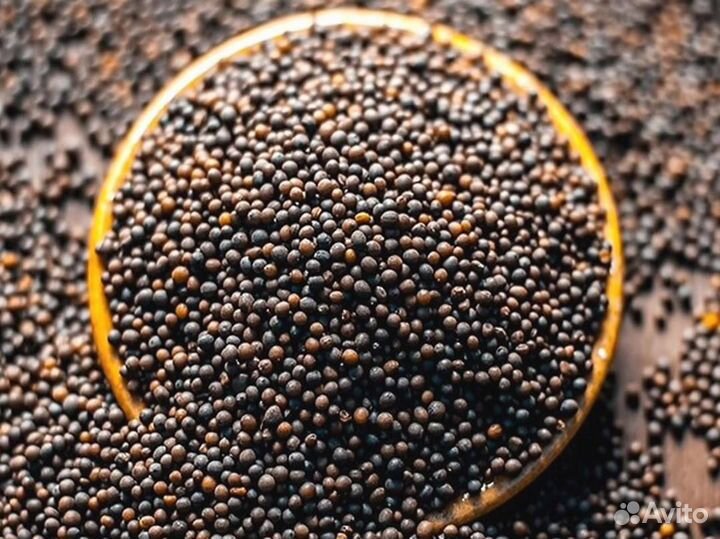 Чёрная горчица. Оптом от 1 тонны