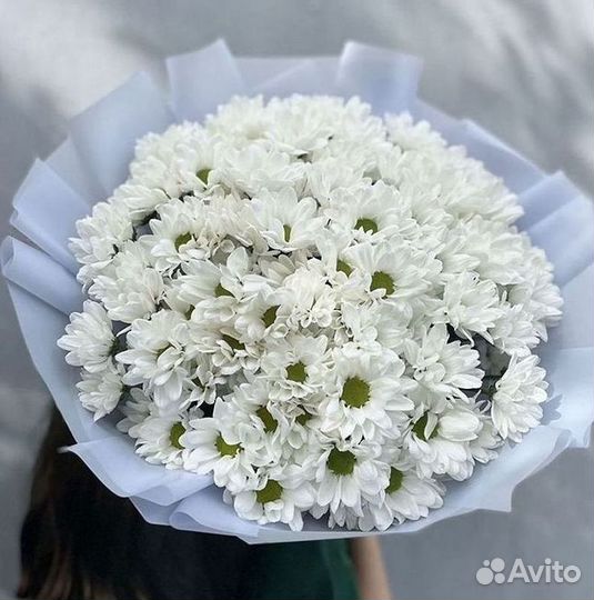 Доставка букетов и цветов. Хризантема
