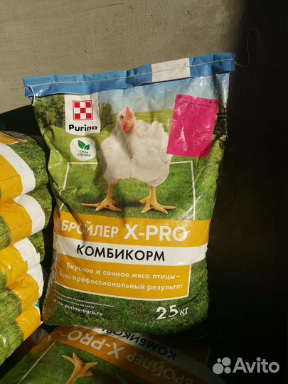 Корм для бройлеров пурина