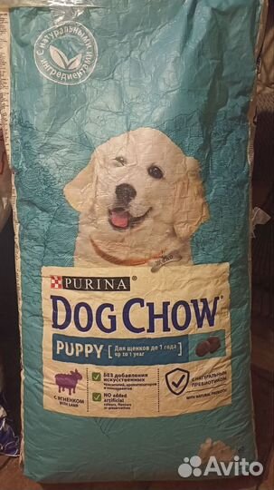 Сухой корм для собак