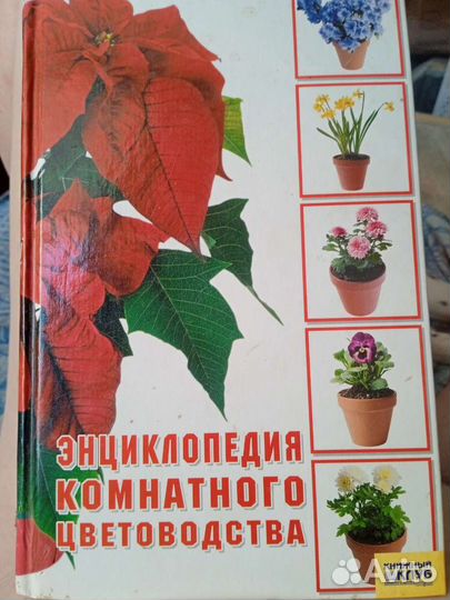 Энциклопедия комнатного цветоводства