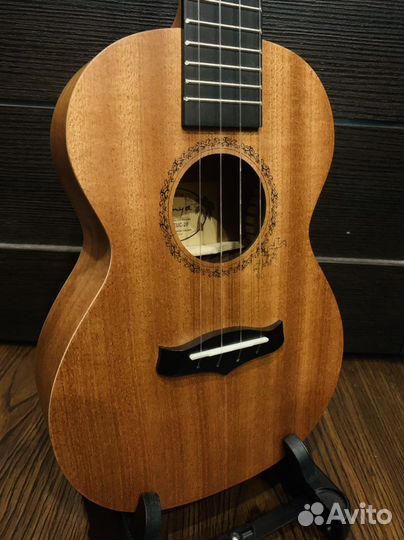 Укулеле Enya (япония концерт)