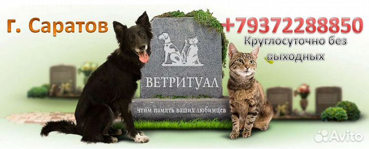 Индивидуальная кремация (кладбище) домашних животн