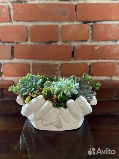 Кашпо для суккулентов