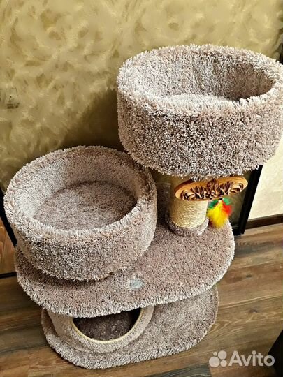 Когтеточка-комплекс