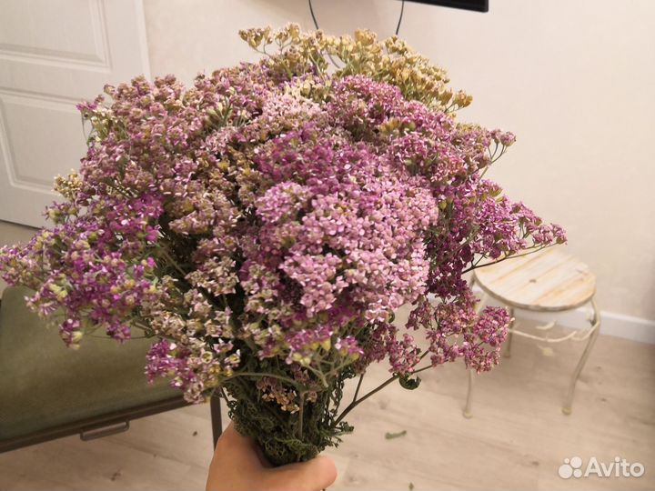 Букет из сухоцетов тысячелистник