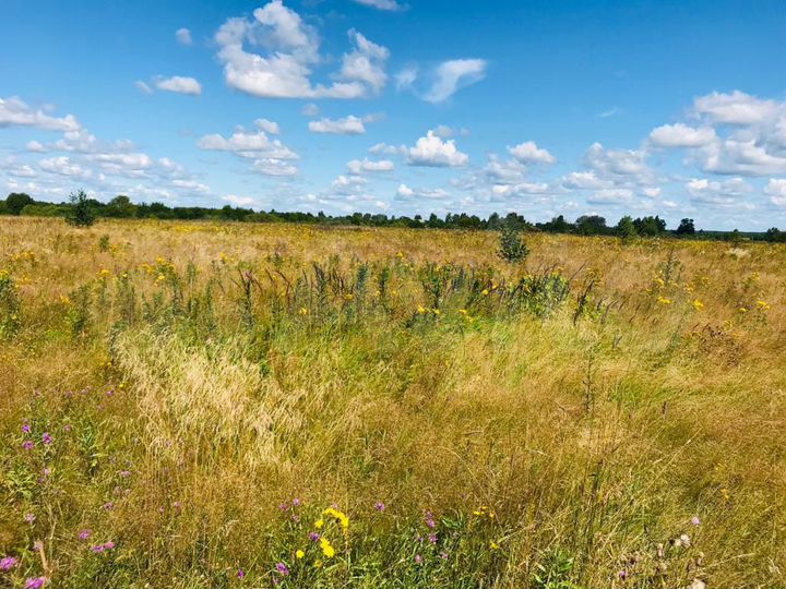 Участок 7,86 га (ИЖС)