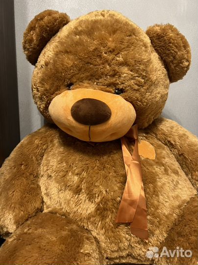Плюшевый медведь