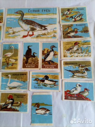 Спичечные этикетки СССР