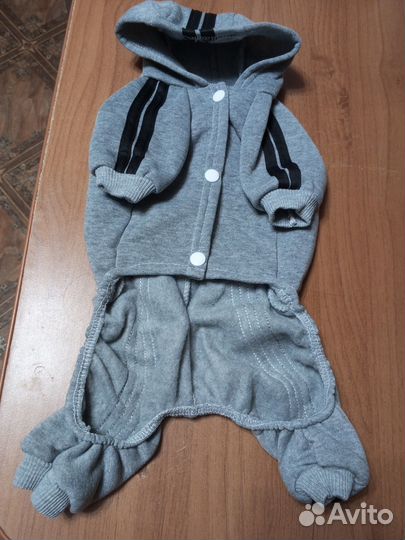 Костюм для собак