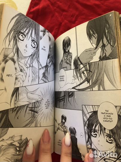 Книга манга рыцарь-вампир