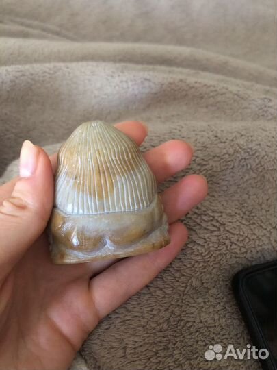 Нецке обезьяна