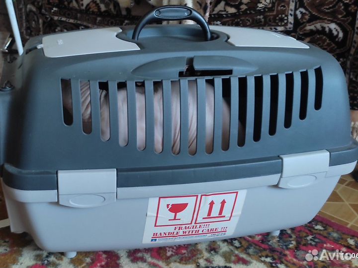 Аренда переноски для животных