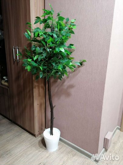 Искусственный фикус