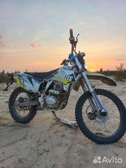 Avantis FX 250