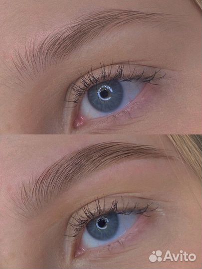 Мастер — бровист