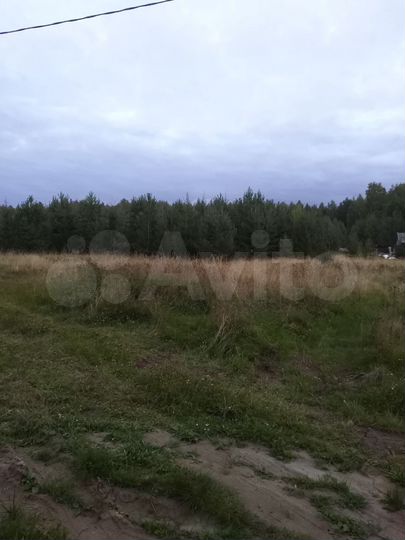 Участок 50 сот. (ИЖС)