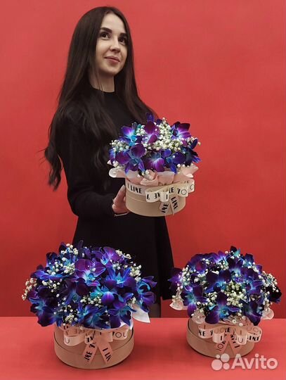 Звездные Букеты из Орхидей. Доставка/Самовывоз