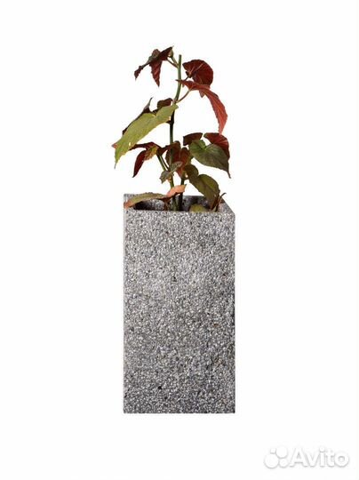 Бетонные изделия в наличии и на заказ