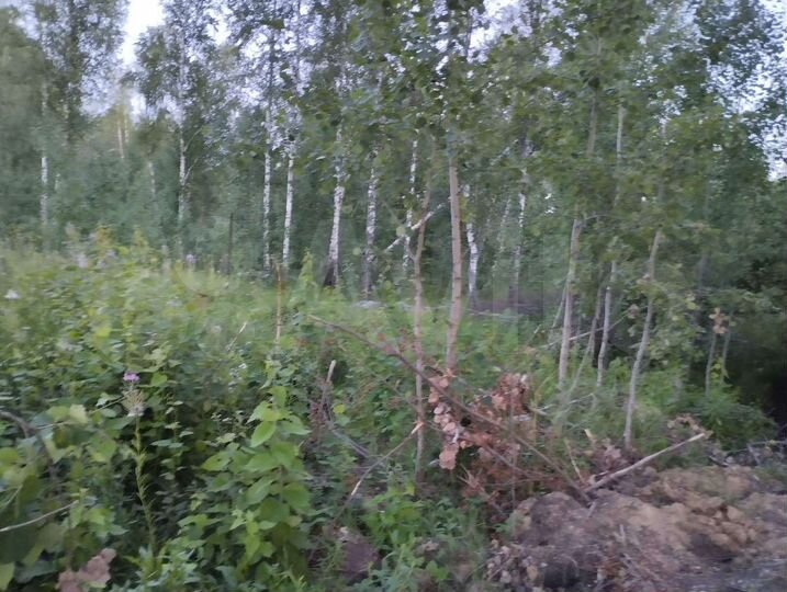 Участок 8 сот. (ИЖС)