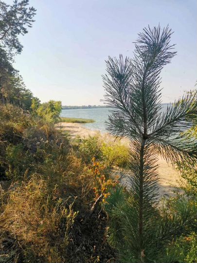 1-к. квартира, 36,5 м², 4/5 эт.