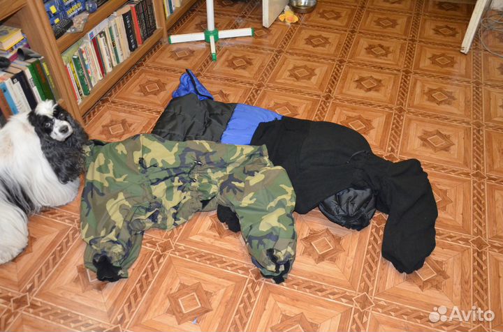 Дождевик (комбинезон) для большой собаки