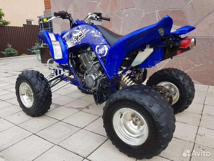 Yamaha raptor
