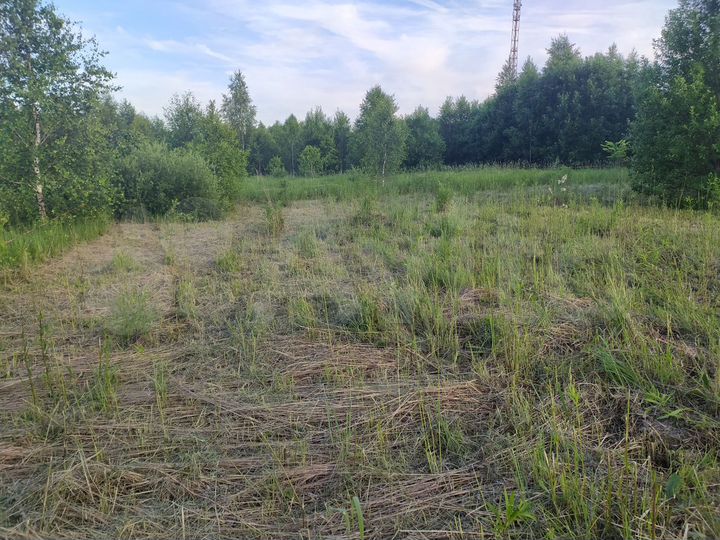 Участок 12 сот. (СНТ, ДНП)
