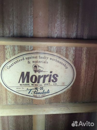 Акустическая гитара Morris W 20