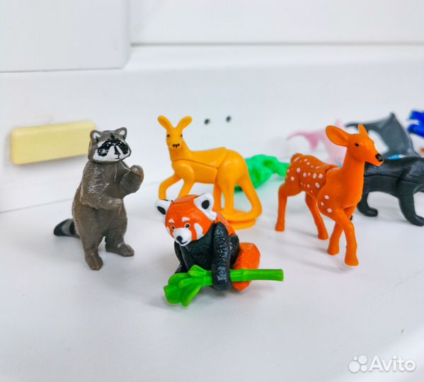 Kinder Natoons 2024 2023 2022