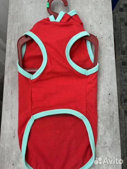 Одежда для собак мелких пород