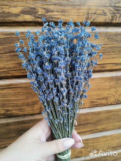 Букет лаванды