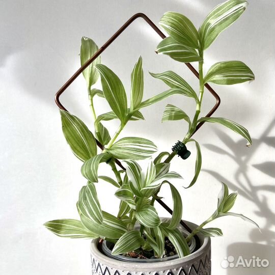 Опора для растений Квадрат, М