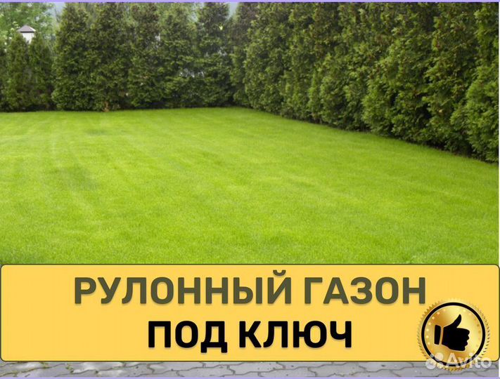 Элитный рулонный газон от производителя